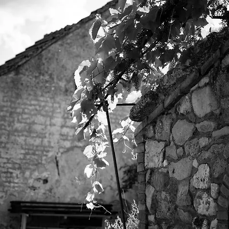 U Hosku Maison d'hôtes